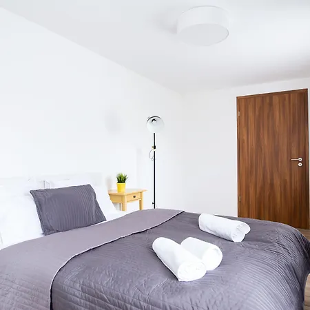 배가본드 코르빈 *